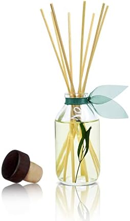 LOVSPA Bamboo Citrus Reed Diffuser Set
