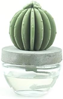 Pretty Valley Home Gypsum Cactus Ocean Breeze Reed Diffuser 100ml