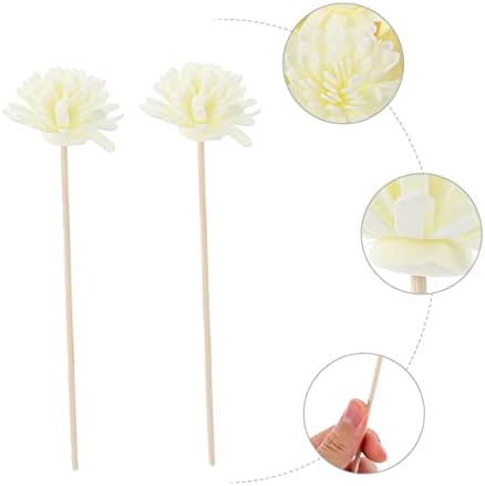 10 Pcs Diffuser Sticks Natural Rattan Set with Accessories