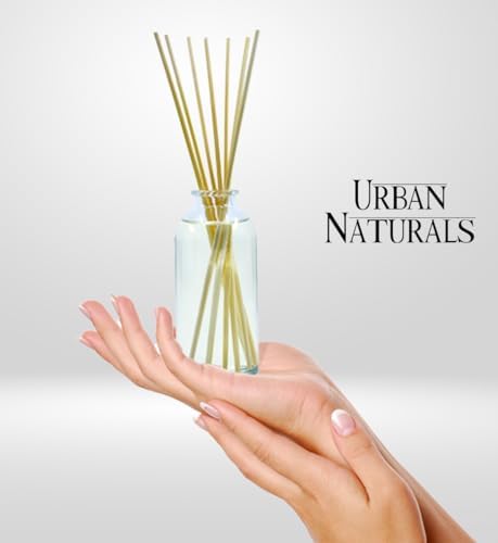 Urban Naturals Christmas Night Reed Diffuser Set