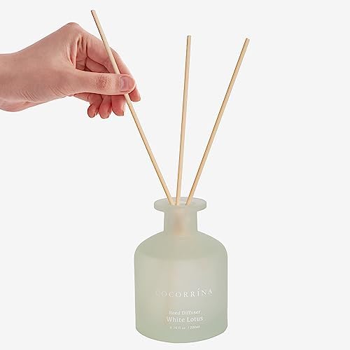 Cocorrina Reed Diffuser - White Lotus 676oz Set