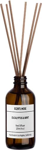Eucalyptus Mint Scented Reed Diffuser Set 4oz