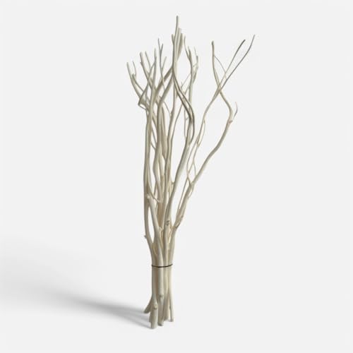 Willow Branch Diffuser Reeds 25pcs Natural White