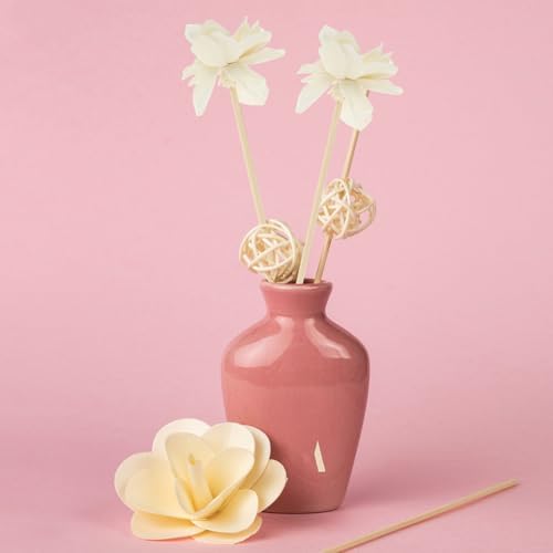 HOMSFOU Reed Diffuser Oil Refill Set 5PCS