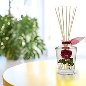 LOVSPA Reed Diffuser Sticks - 80 Pack 10 Bundles 8 Inch Brown Rattan Unscented