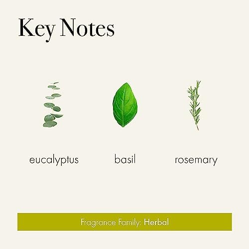 LAFCO New York Reed Diffuser Refill Rosemary Eucalyptus 84 oz