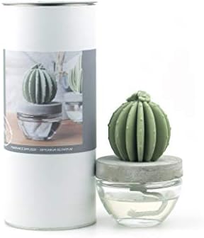 Pretty Valley Home Gypsum Cactus Ocean Breeze Reed Diffuser 100ml