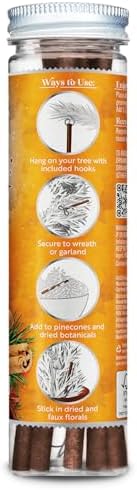 Scentsicles Spiced Pine Cones Scented Christmas Tree Ornaments - 1 Bottle 6 Sticks 1 Spray 4 Oz