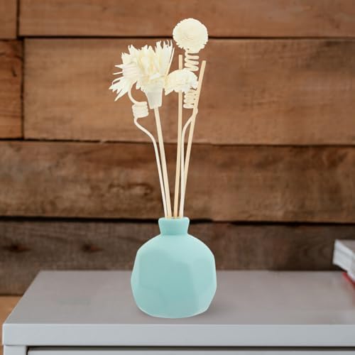 HOMSFOU 1set Rattan Diffuser Sticks for Home Office