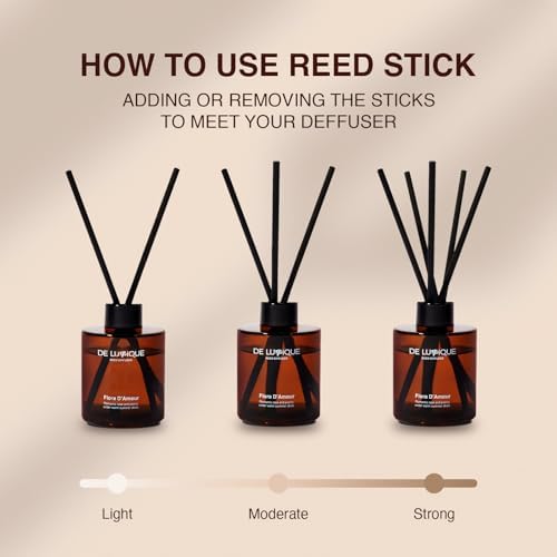 Tropical Muse Reed Diffuser 150ml Alcohol-Free Fragrance