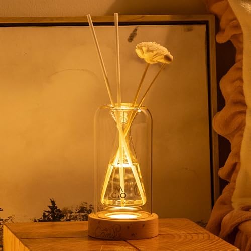 COMI Empty Glass Diffuser Bottles with Reed Sticks and Luminous Base