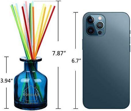 HOSSIAN Diffuser Bottles with Reed Sticks 1