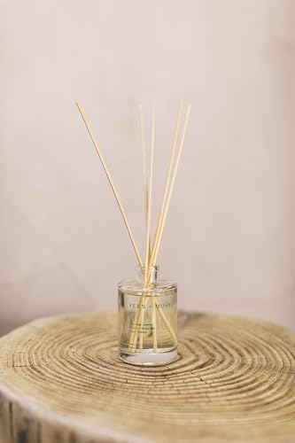 Brooklyn Candle Studio Fern Moss Reed Diffuser Set