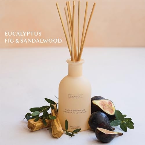 Benevolence LA Pacific Driftwood Diffuser and Candle Set