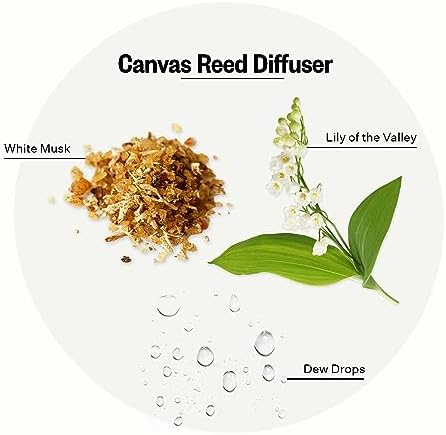 APOTHEKE Canvas Reed Diffuser Set 67 Fl Oz