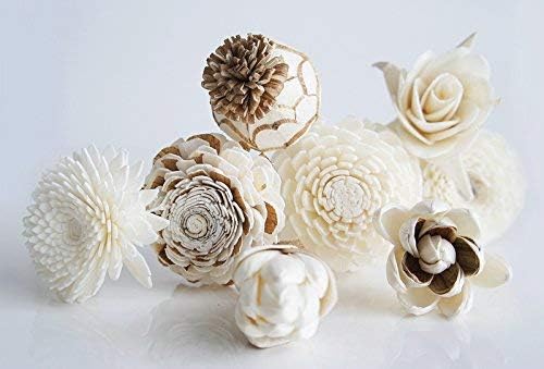 8 Mixed Sola Flower Reed Diffuser Set by Plawanature