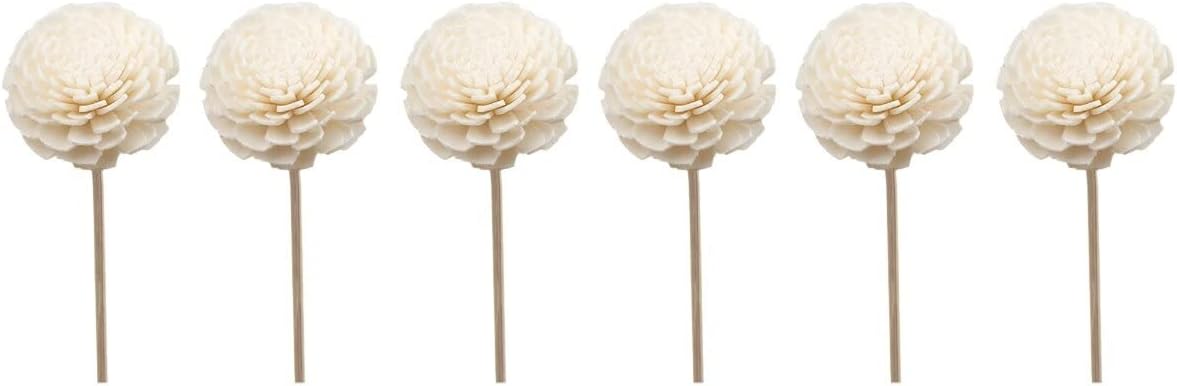 6pcs Dried Flower Rattan Sticks for Home Fragrance Decor