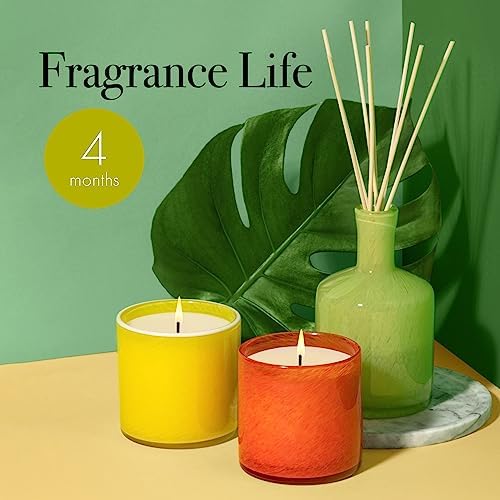 LAFCO New York Reed Diffuser Refill Rosemary Eucalyptus 84 oz