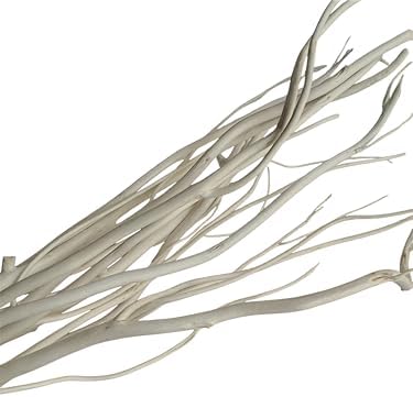 Willow Branch Diffuser Reeds 25pcs Natural White