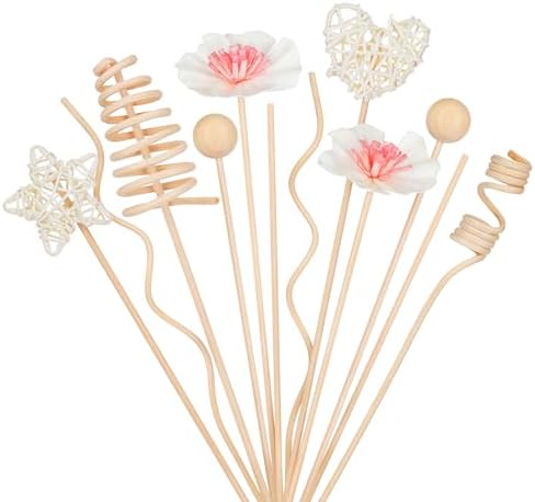 20pc Rattan Flower Diffuser Set for Home and Office Decor