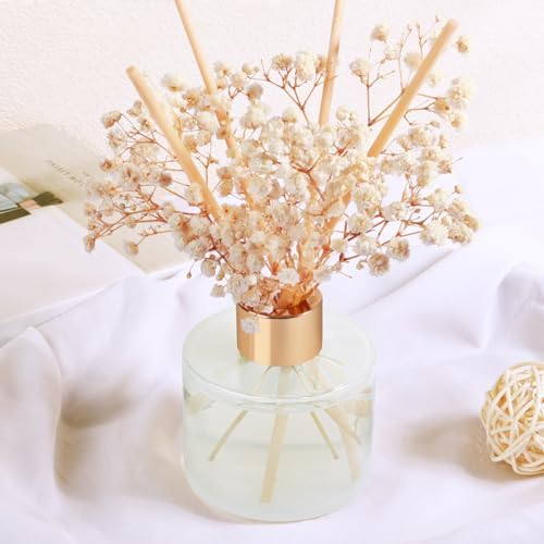 Fruit Scent Reed Diffuser Set 3 Packs 24 Sticks 150ml Long Lasting