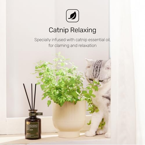 Furrypurr Reed Diffuser for Pet Odor Elimination Berry Rum 6 Oz