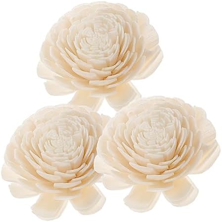 3pcs Handmade Dried Flower Sticks for Home Elegant Rattan Diffuser Reeds