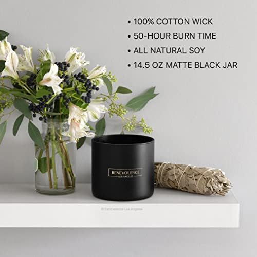 Benevolence LA Bergamot Jasmine Reed Diffuser Set