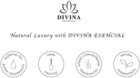 Divina Esencial Reed Diffuser Set with Bamboo Joy and Amber Glass Bottle