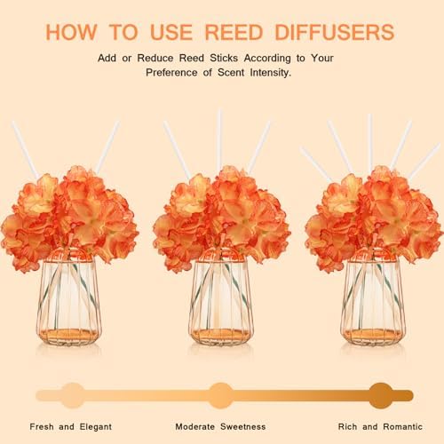 Homsolver Reed Diffuser Set with 6 Sticks and 180ml Fruity Scent
