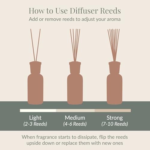 Archipelago Botanicals Pomegranate Citrus Reed Diffuser Set