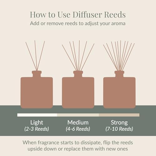 Archipelago Botanicals Havana Reed Diffuser Set