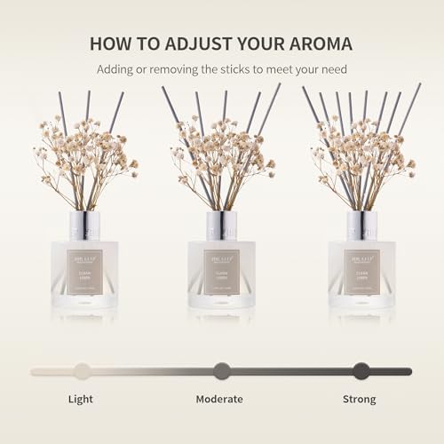 Airkeep Reed Diffuser Set - Ayurveda Almond Oil with 8 Reed Sticks