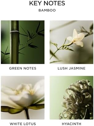 Bamboo Reed Diffuser Set with Refill and Liquid Soap