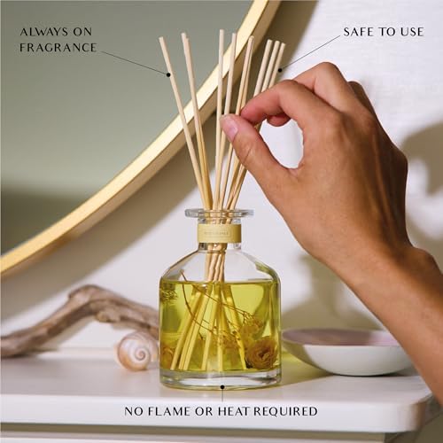 Benevolence LA Morning Ritual Diffuser Set and Room Spray