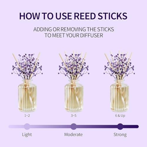 Feny Fresh Lavender Thyme Reed Diffuser Set