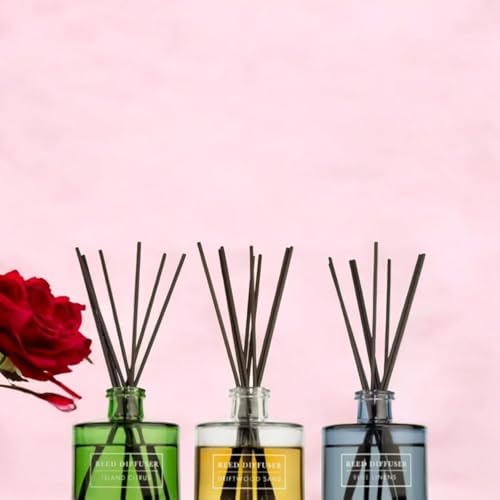 Island Escape Reed Diffuser Set 3 Pack