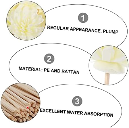 10 Pcs Diffuser Sticks Natural Rattan Set with Accessories
