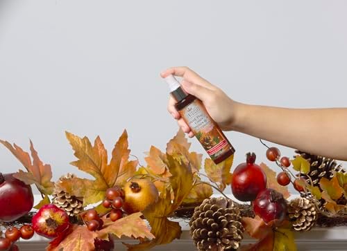 Scentsicles Spiced Pine Cones Scented Christmas Tree Ornaments - 1 Bottle 6 Sticks 1 Spray 4 Oz