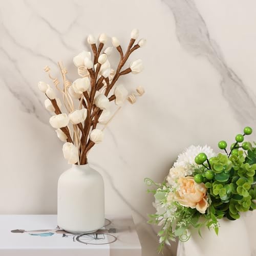 12 Pcs Reed Diffuser Set Elegant Home Fragrance