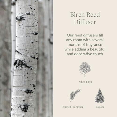 Archipelago Botanicals Birch Reed Diffuser Set