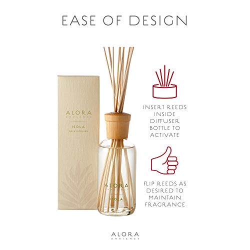 Alora Ambiance Isola 8 oz Reed Diffuser Set