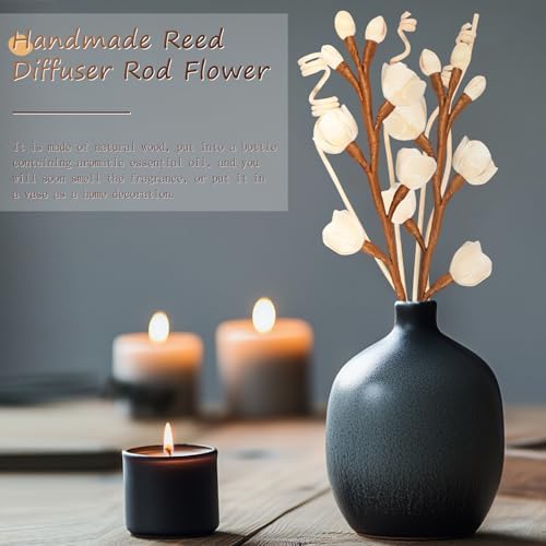 12 Pcs Reed Diffuser Set Elegant Home Fragrance