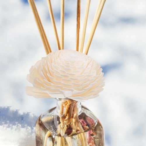 2pcs Diffuser Flowers with Rope for Home Decor