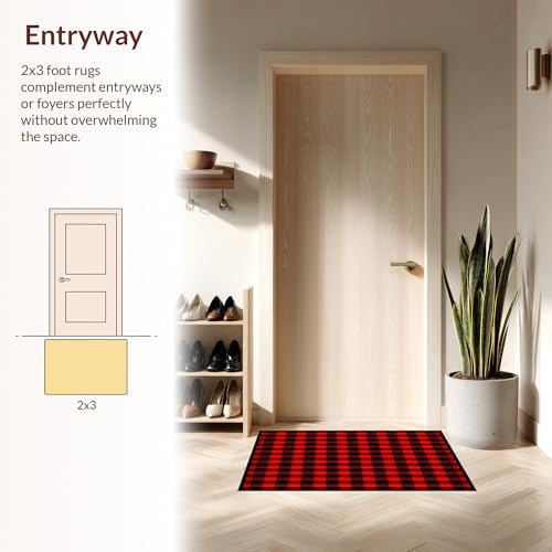 ODIKA Ultra Soft 6x9 Area Rug with Non Slip Design