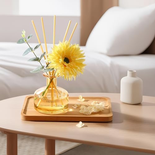 Saussavita Reed Diffuser Set 710 Oz with 7 Sticks