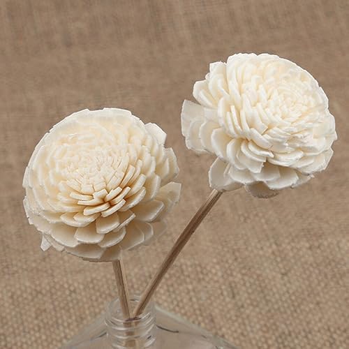 HOMSFOU Reed Diffuser Sticks 6pcs Rose Rattan Aroma Volatile Refill Sticks for Home Office Car