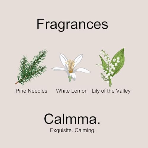 Ethereal Reed Diffuser Set with 2 Refills 6OZ