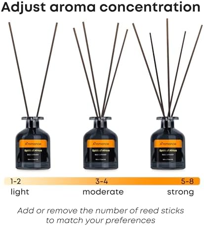 Spirit of Africa Reed Diffuser Set - Floral Woody Fragrance