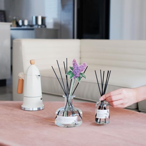 BITSOTA Reed Diffuser Set with Lavender Eucalyptus Scent